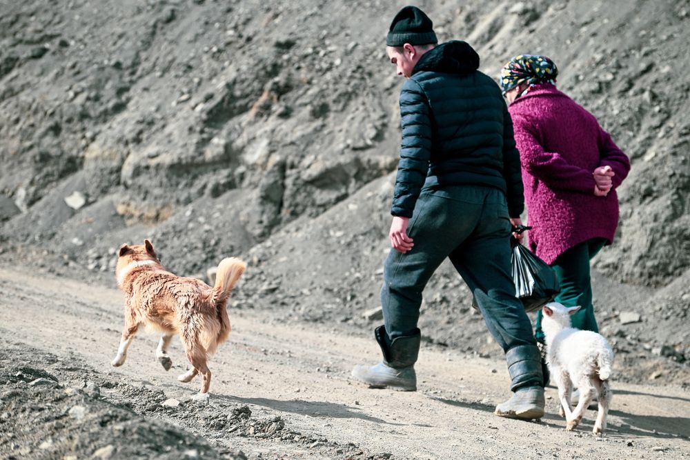 Photograph by Инна Гаджиева