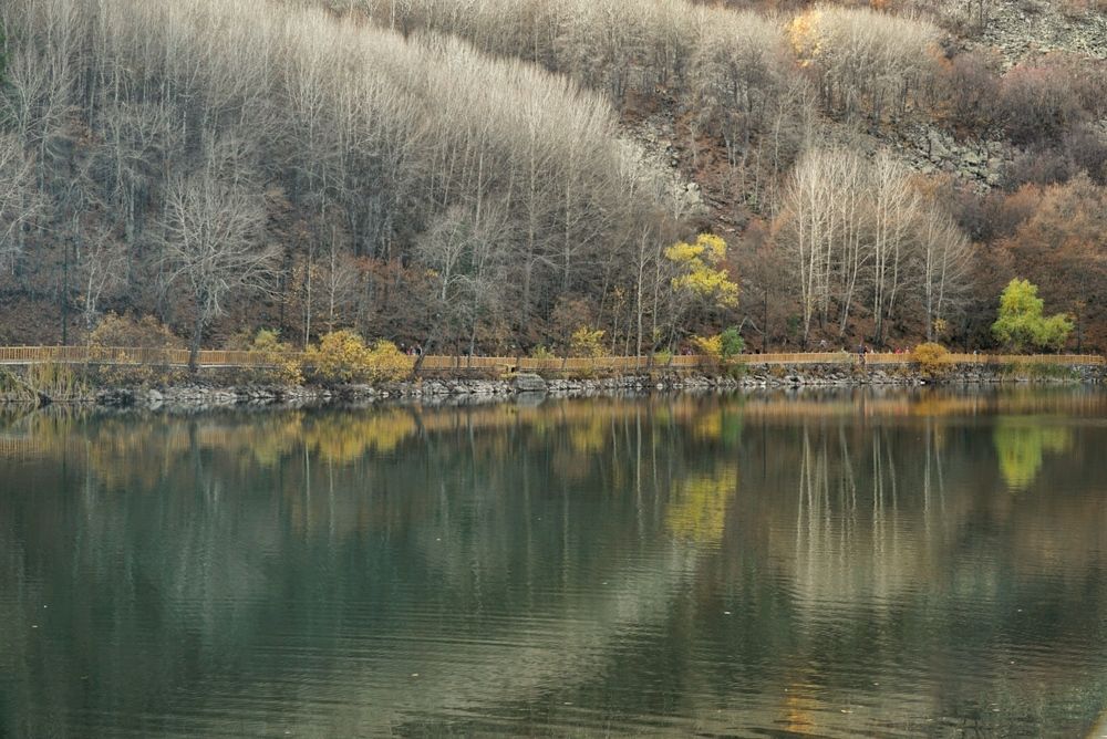 Photograph by mine senturk