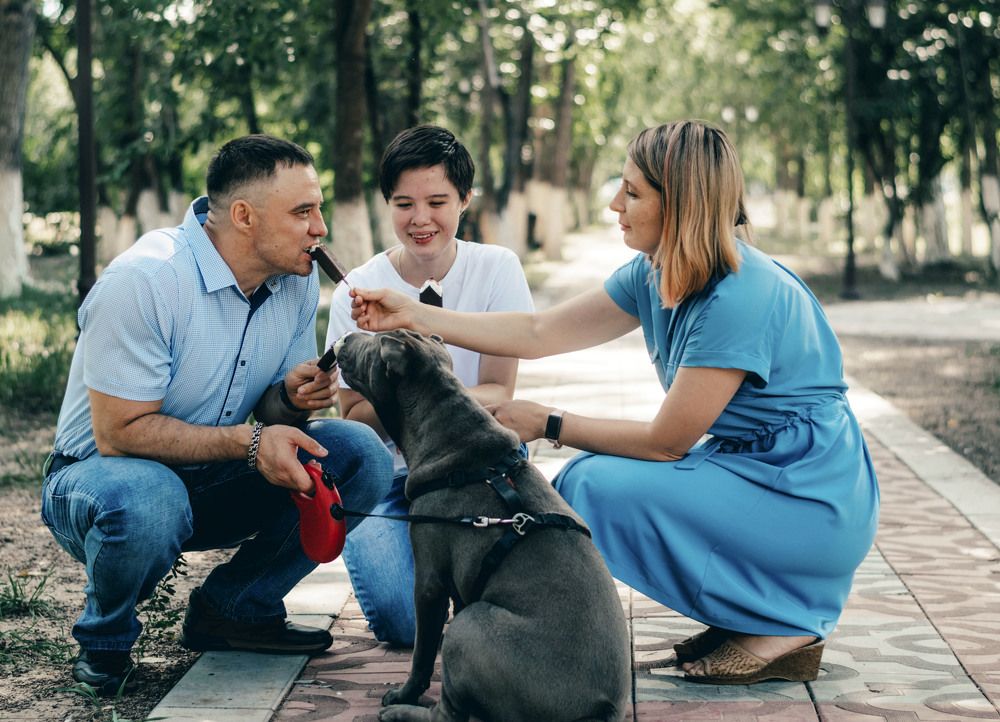 Photograph by Татьяна Пахатинская