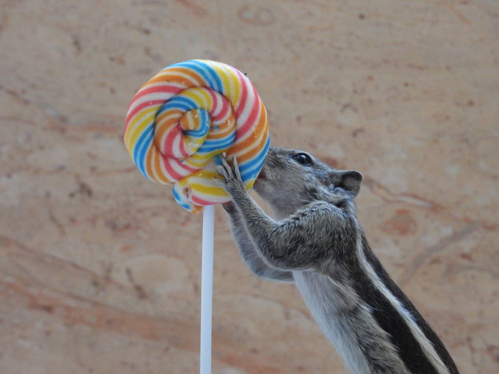 Photograph by Al Mamun Abdullah