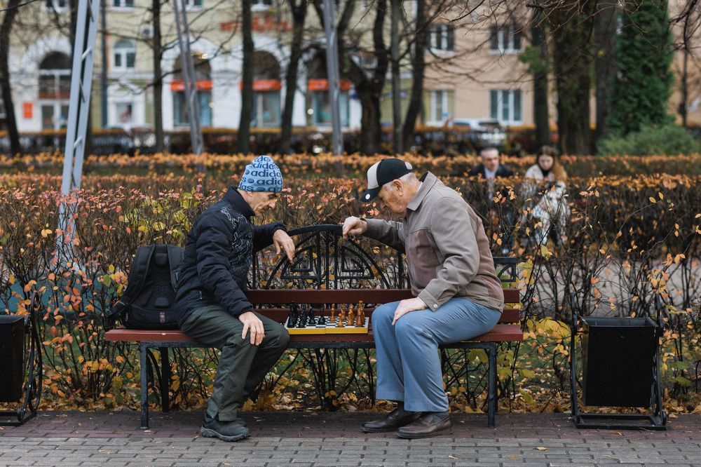 Шахматисты