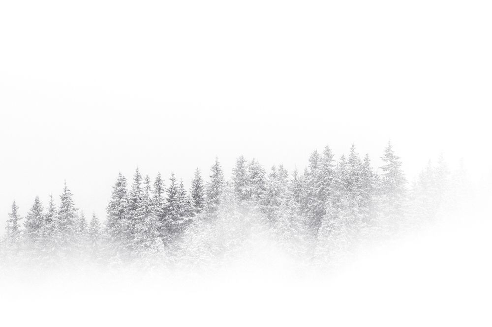 Photograph by Ana-Maria Tatarus