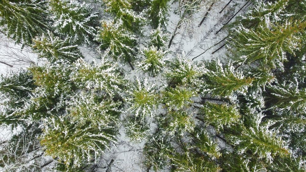 Photograph by Владислав Молев