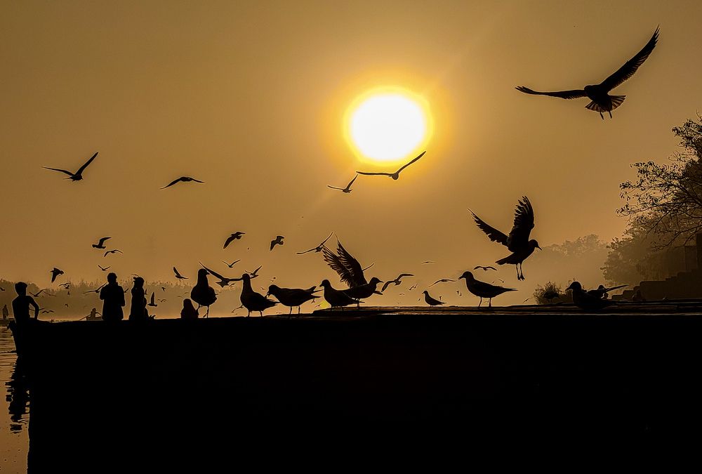 Photograph by HARSHIT MISHRA