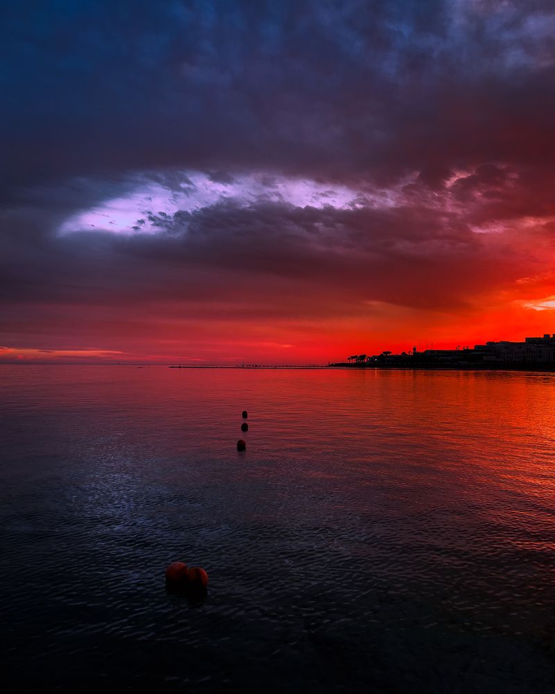 Photograph by Omar Khaled El Sayad