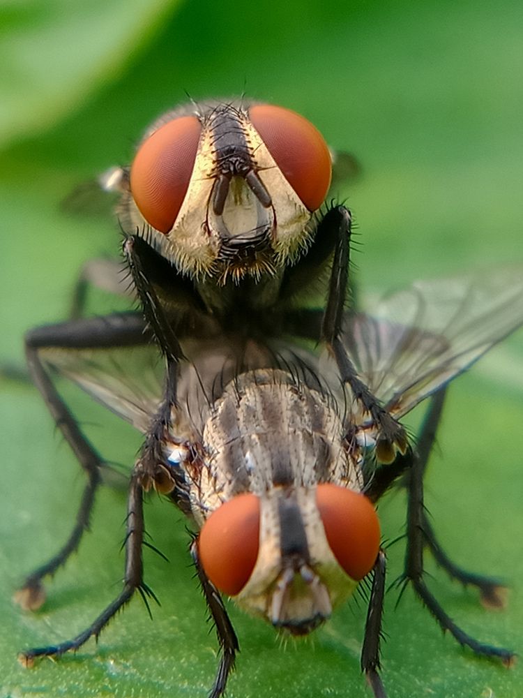 Photograph by Harry Syahrizuan