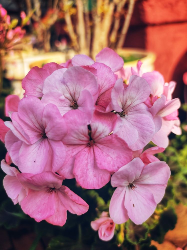 Фотография автора Ranjit pawar