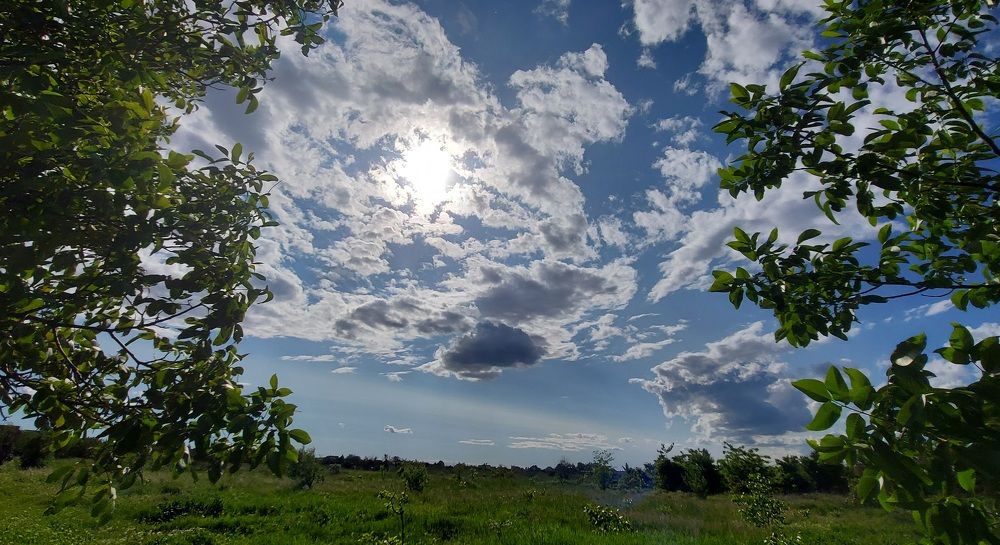 Фотография автора Stevo Dragić