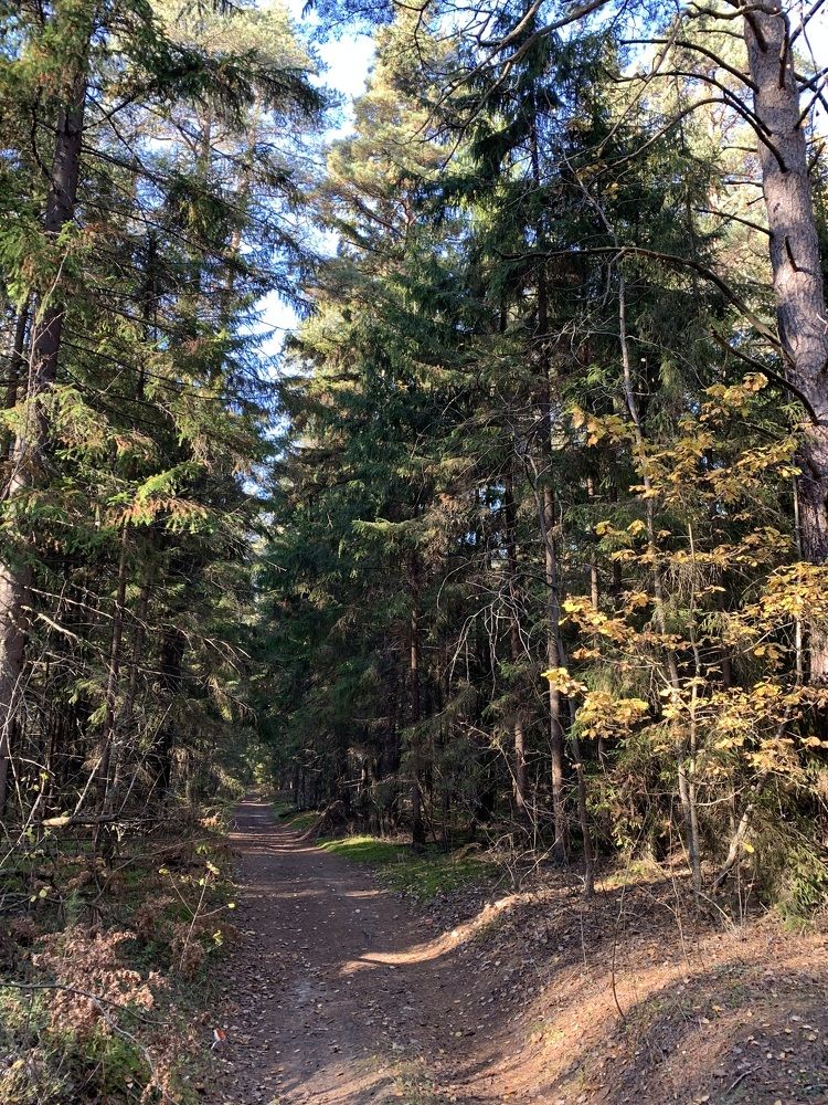 Photograph by Елена Киселева