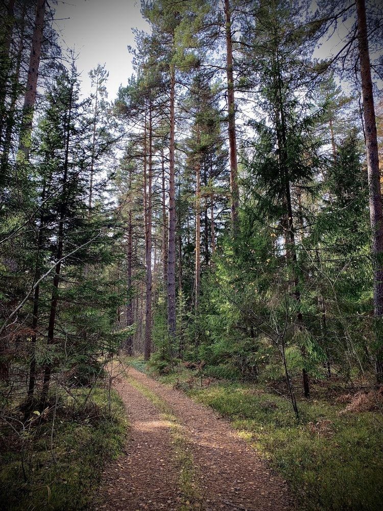 Photograph by Елена Киселева