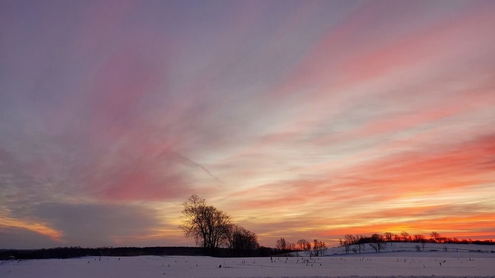 Photo #7425013