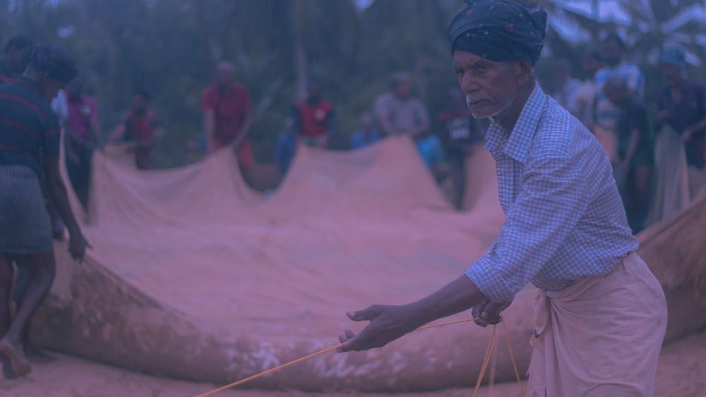 Фотография автора Aalan v sharon