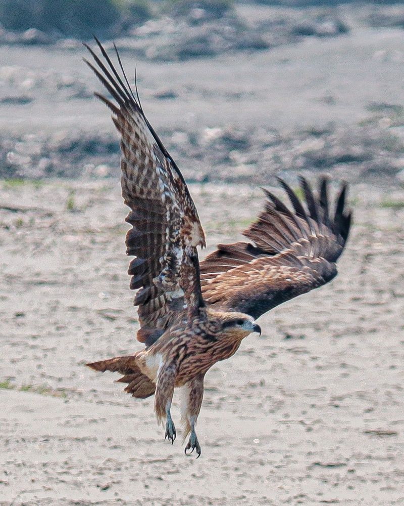 Photograph by Jagriti Srivastava