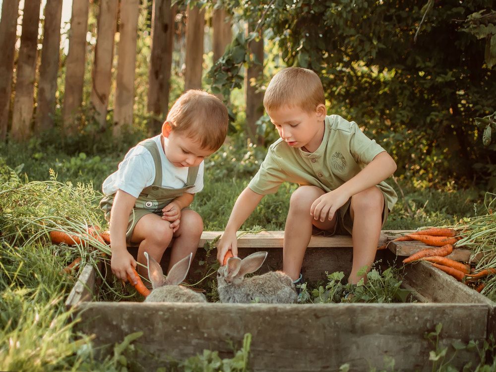 братцы кролики