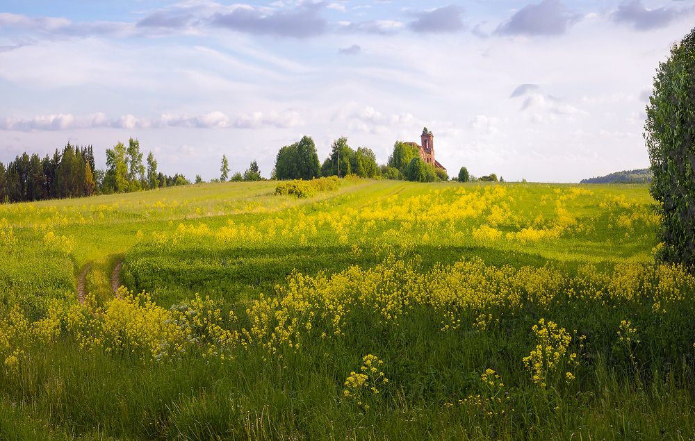 Photograph by Надежда Колеватова