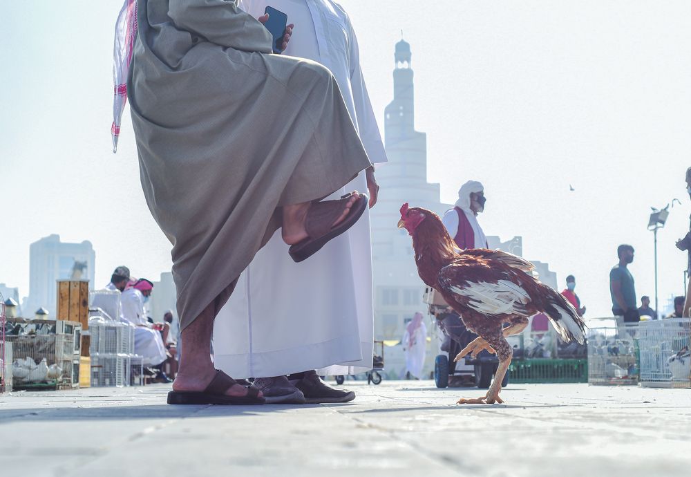 Photograph by Rishad