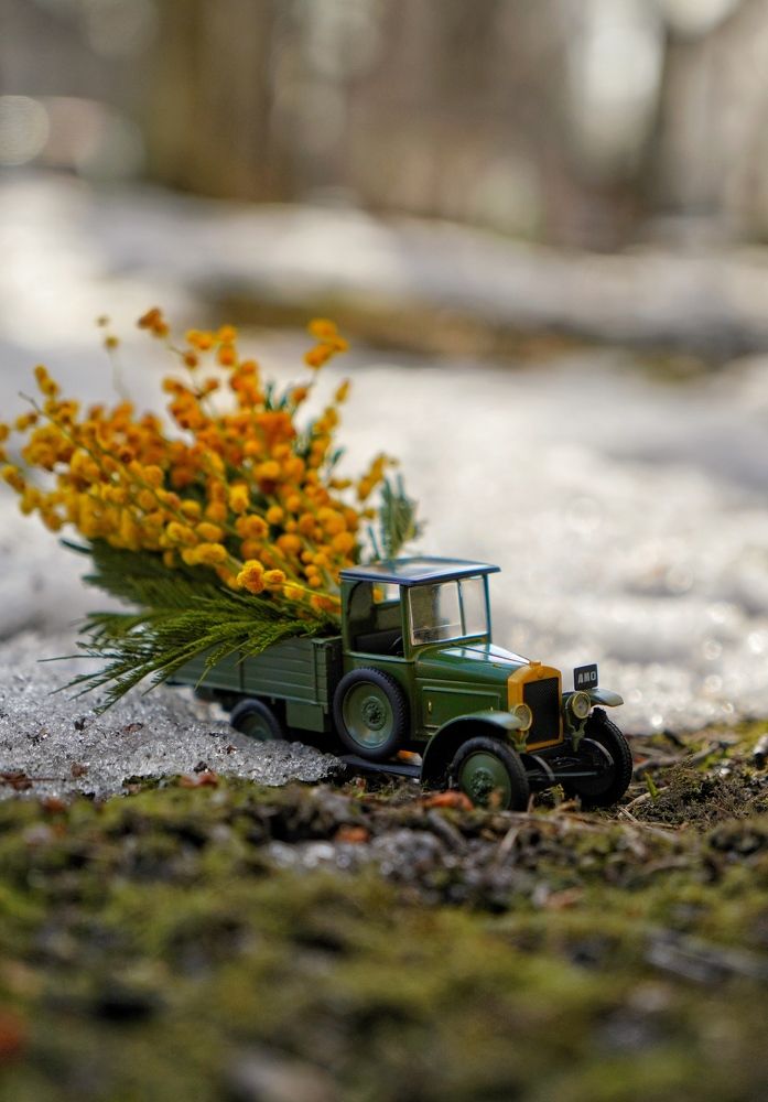 Photograph by Маргарита Булатова