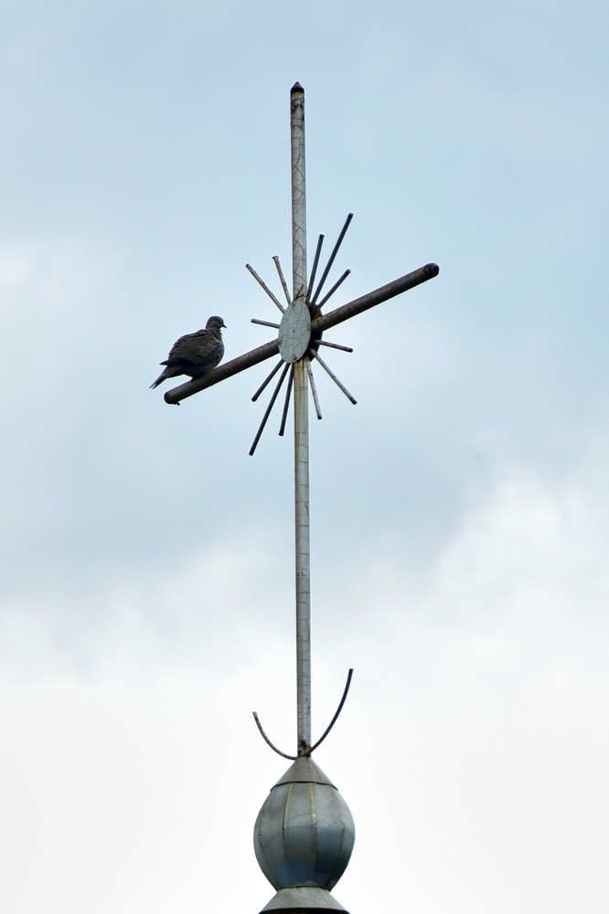 Photograph by Veaceslav Cornei