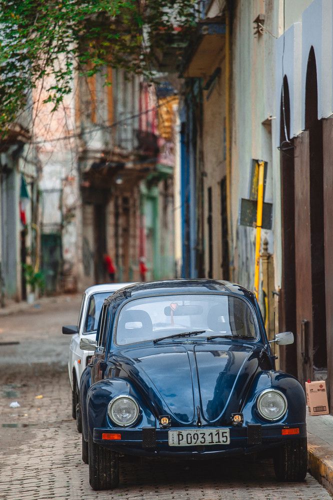 Photograph by Маша Коваленко