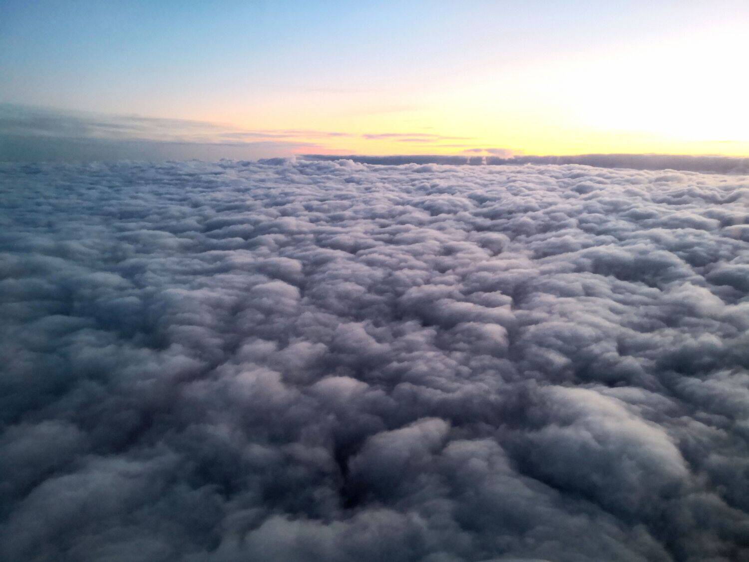 Photo #7425266