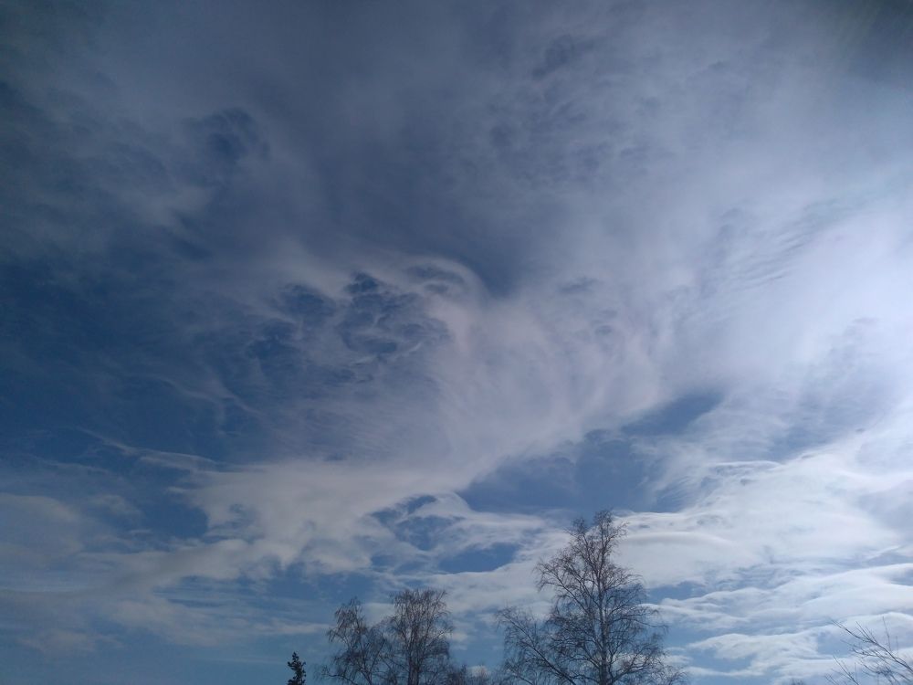 Photograph by СТЕПАН ДЖУЛАКИДЗЕ