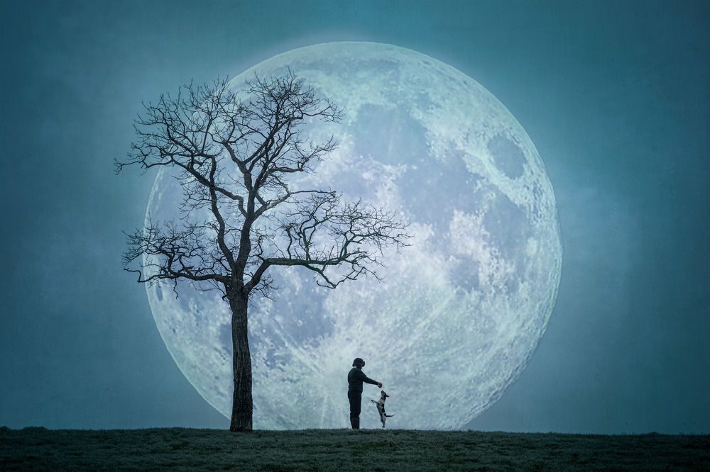 Photograph by Aga Kucinska