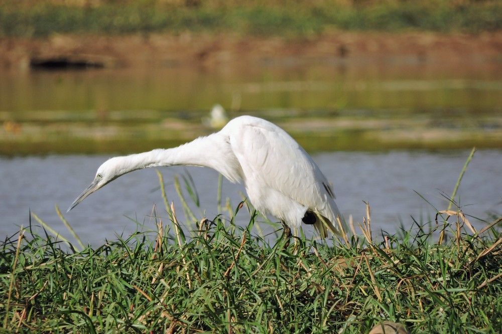 Photograph by Isaac pakissiba Ouedraogo