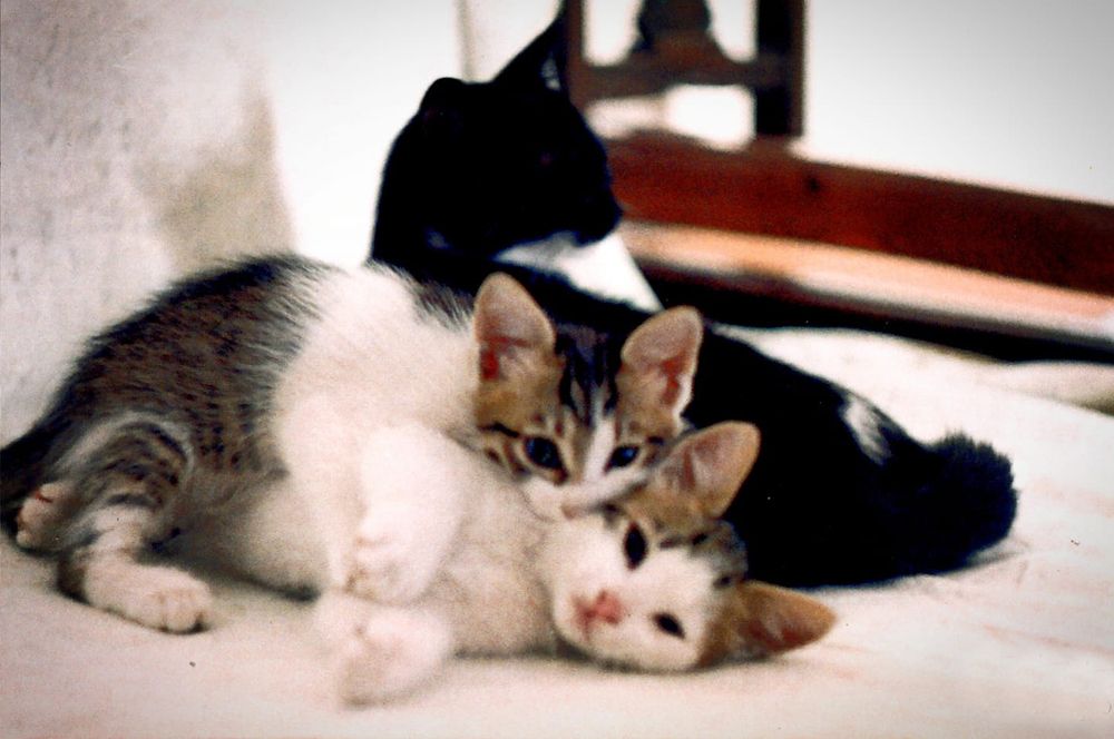 Photograph by Irene Kounadi