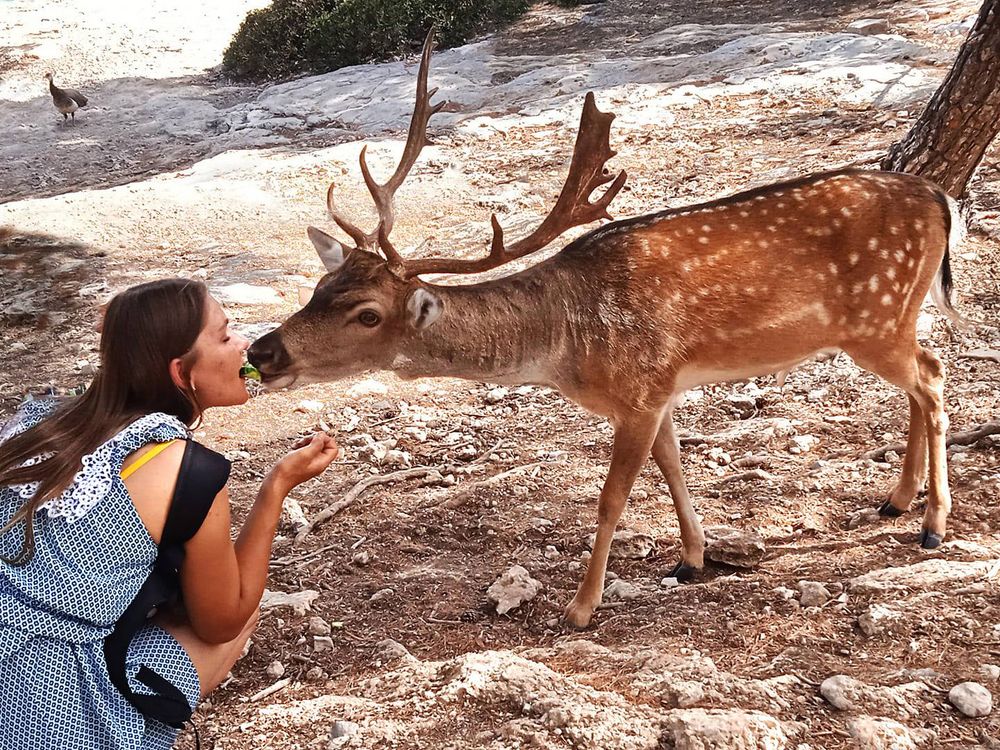 Photograph by Irene Kounadi