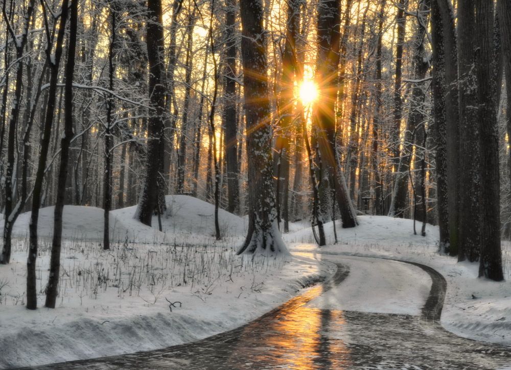 Photograph by Новиков Михаил