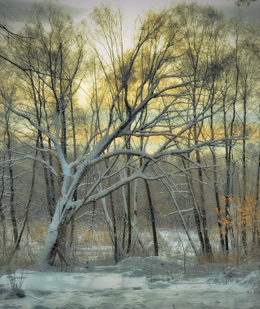 Photograph by Новиков Михаил