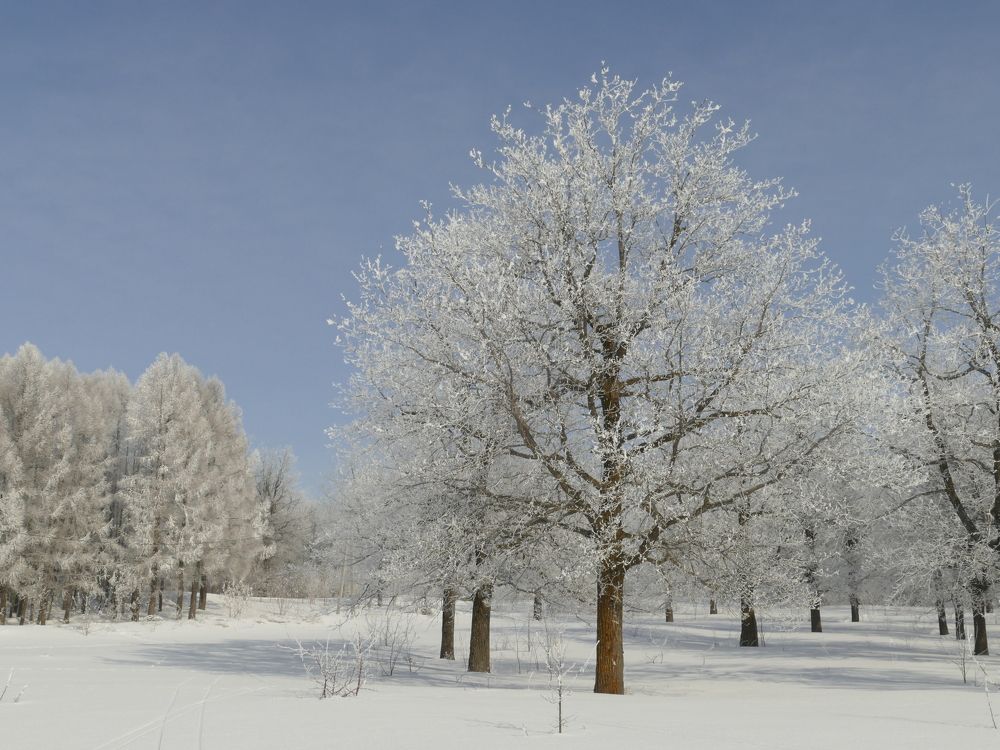 Photograph by 