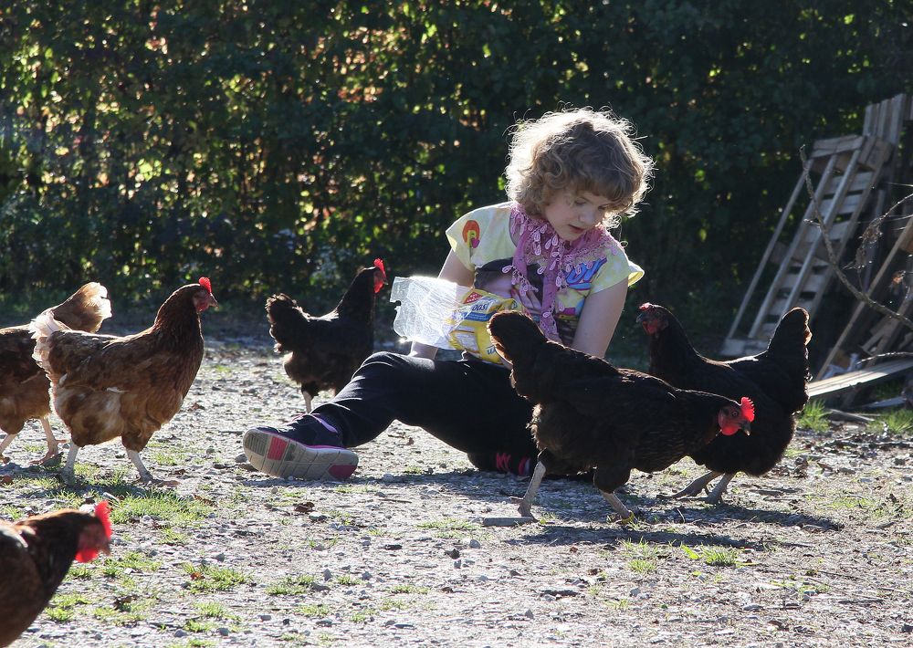 Photograph by Gabriella Szabo