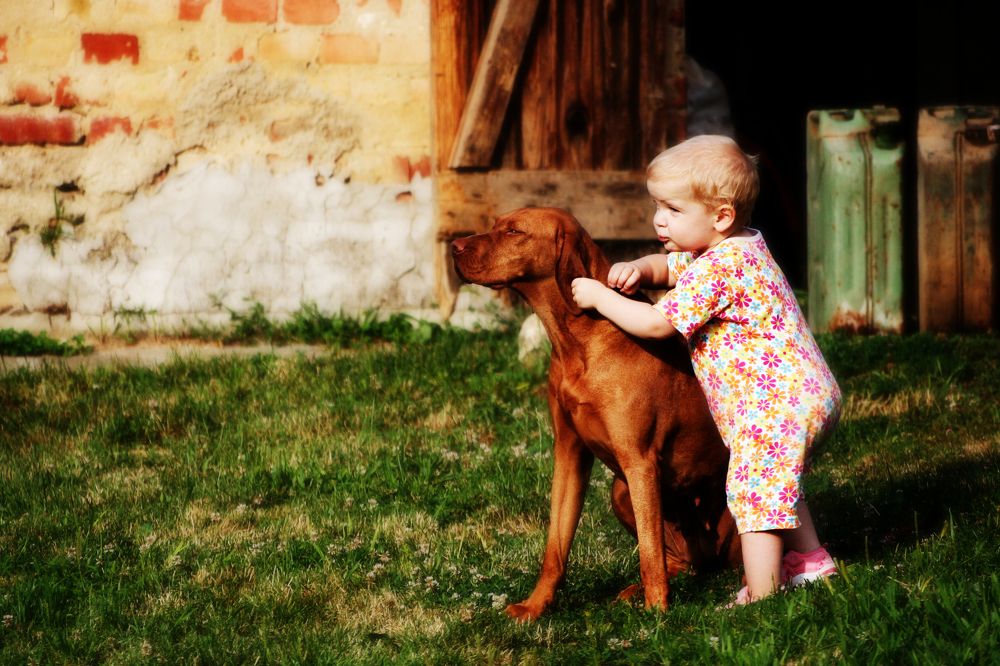 Photograph by Gabriella Szabo