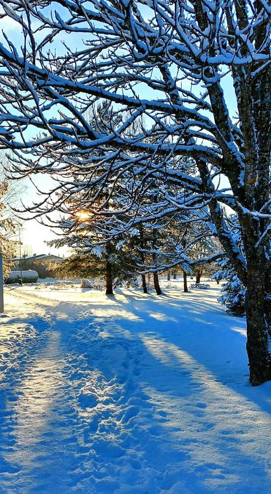 Photograph by Kristiina Soots