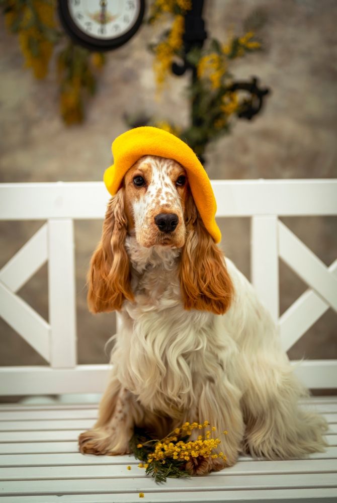 Photograph by Елена Савченкова