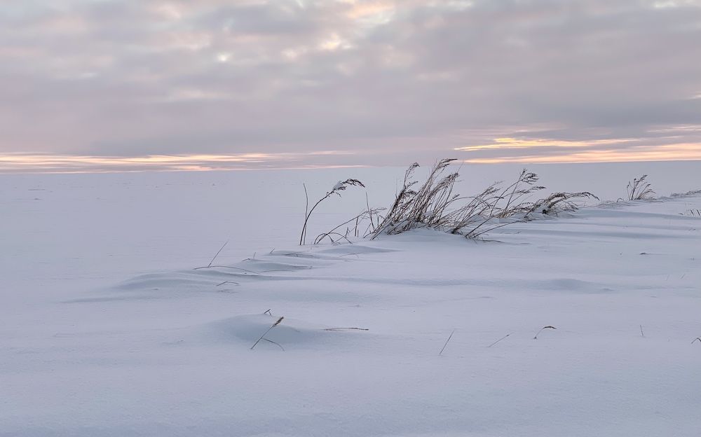 Photograph by Елена Гарибян