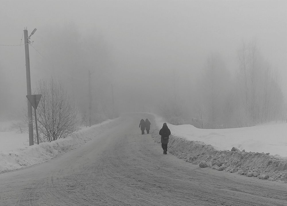 Photograph by Михаил Соколов