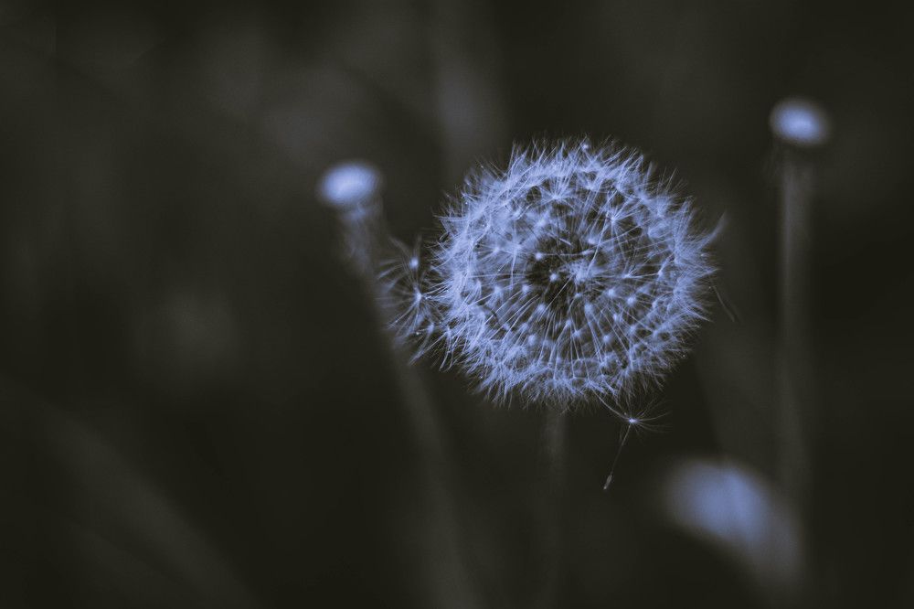 Photograph by Дарья Калугина