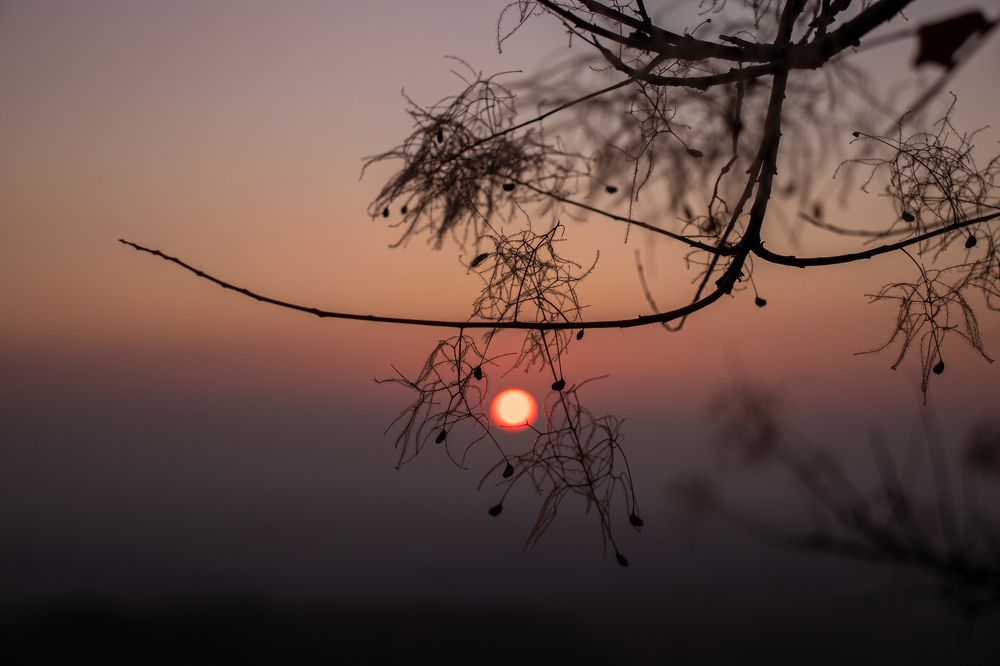 Photograph by Дарья Калугина