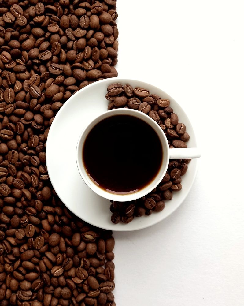 Photograph by Svetlana Yurasova