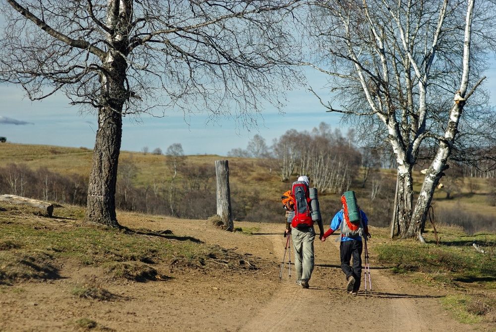 Вместе весело шагать по просторам....