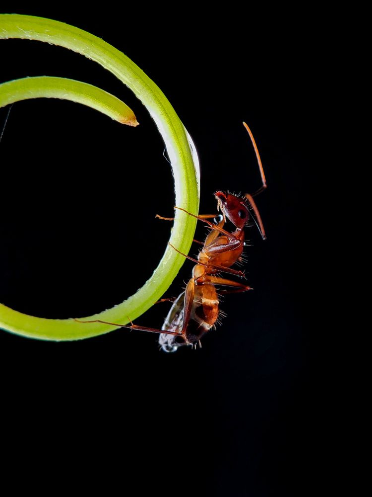 Photograph by Mehedi Hasan Shawan