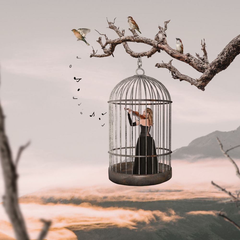 Фотография автора Aryana golchin