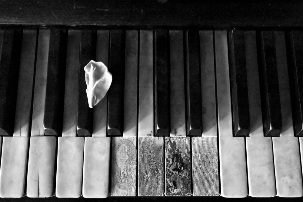 Photograph by Lyuben Zehtinski