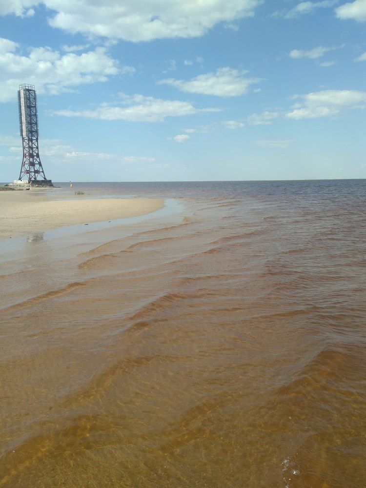 Photo #7425669