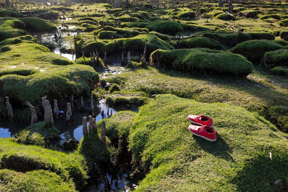 Photograph by Iftekhar Hossain