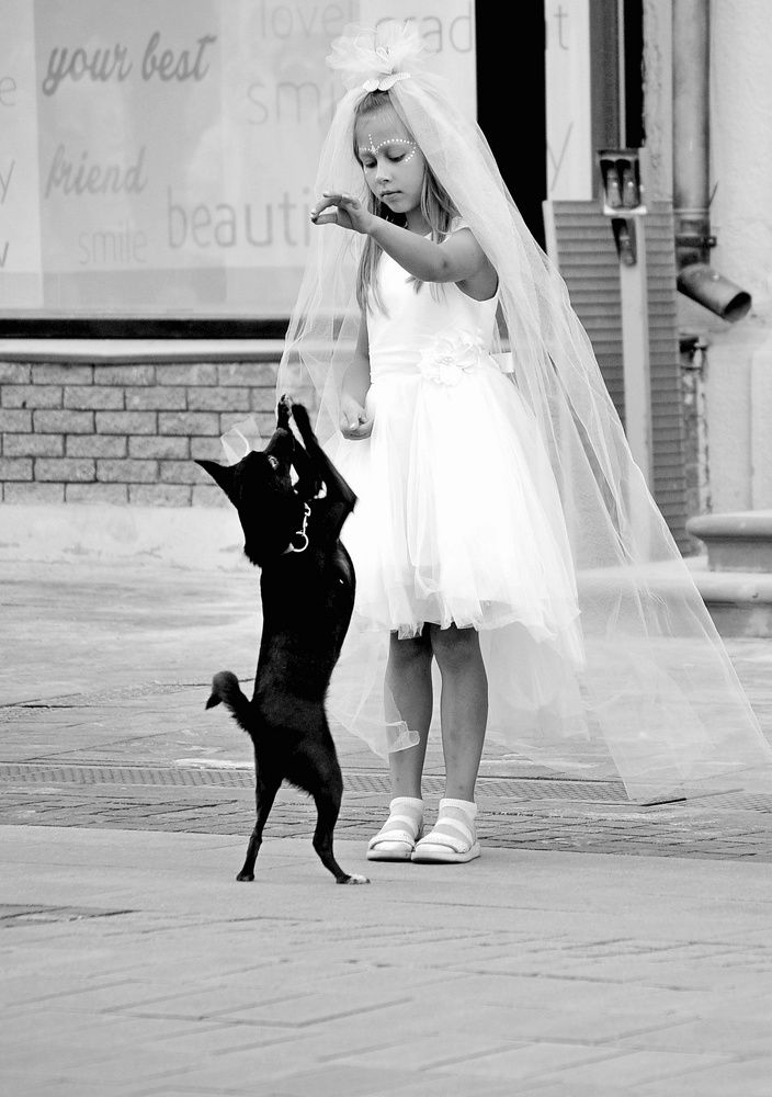 Фотография автора Игорь  Александрович  Куликов