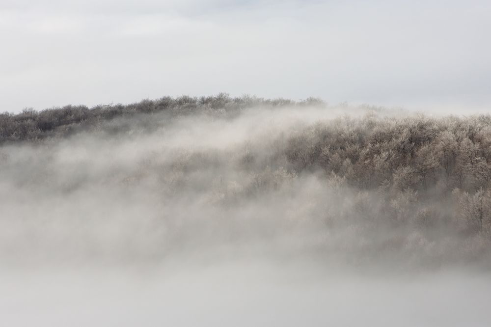 Photograph by Mirjana Spajić Buturac