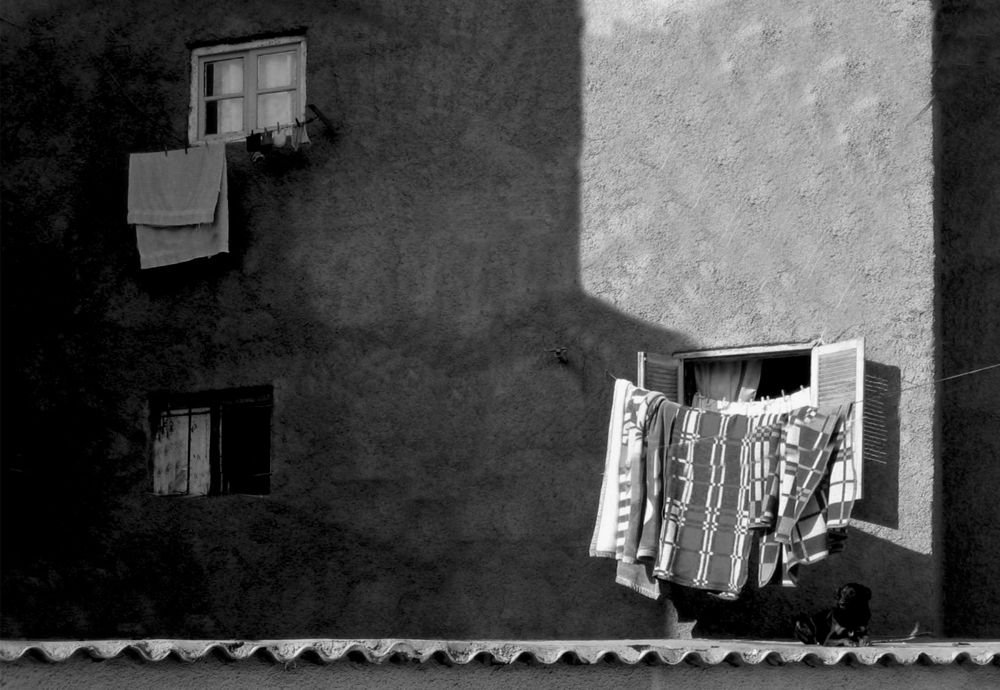 Photograph by Salih Aqeil